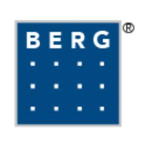 BERG Personalmanagement GmbH
