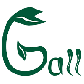 Ganzheitliche Physiotherapie Gall