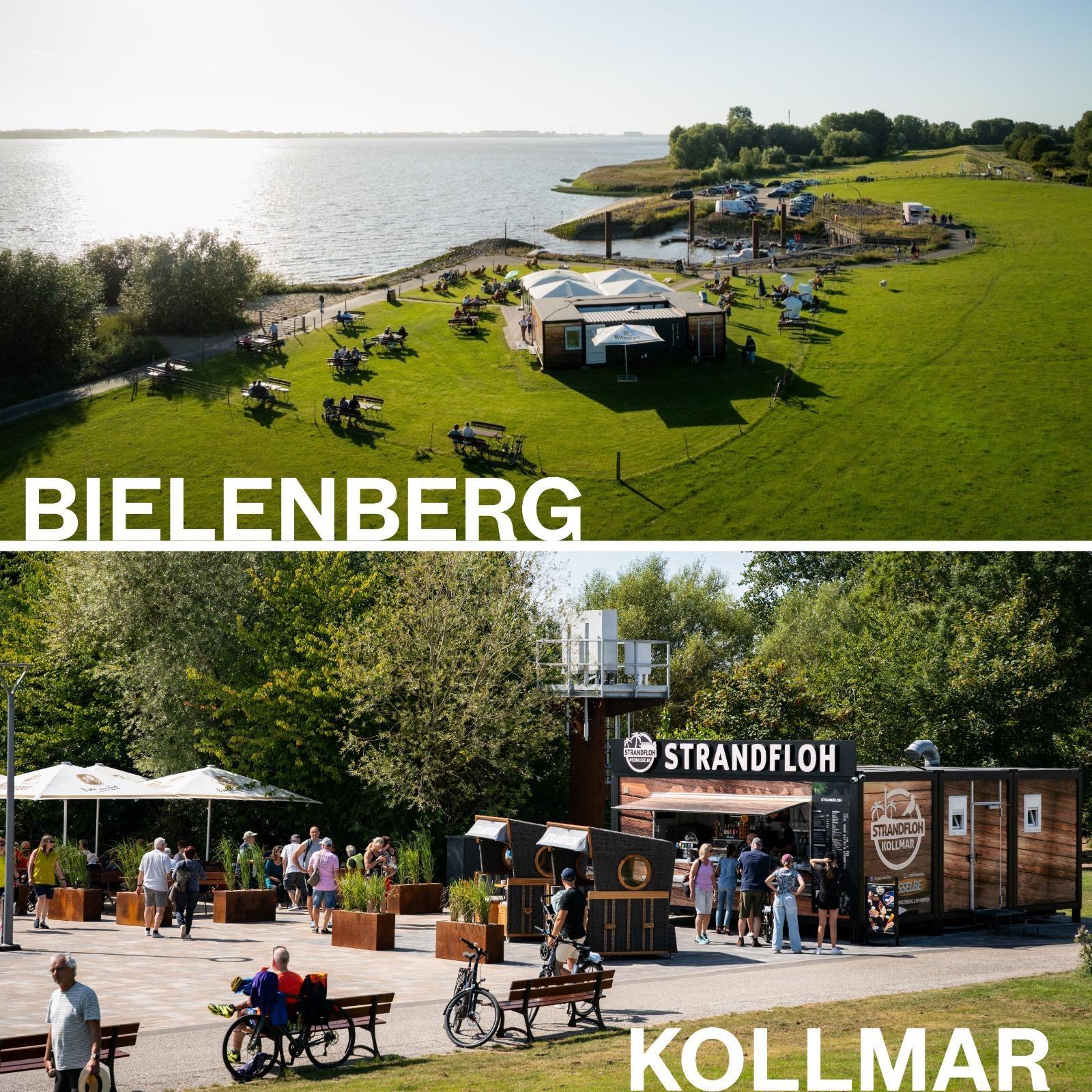 Strandfloh Management GmbH