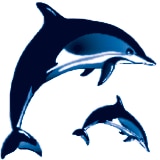 Köster Pumpen Joachim Köster GmbH